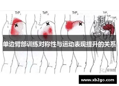 单边臂部训练对称性与运动表现提升的关系